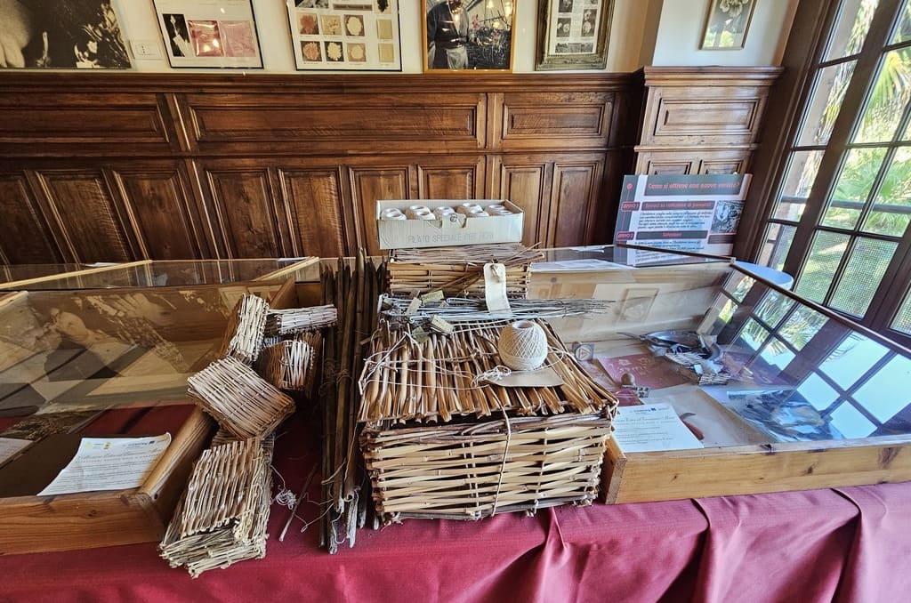 The collections on display inside the Floriseum in Sanremo