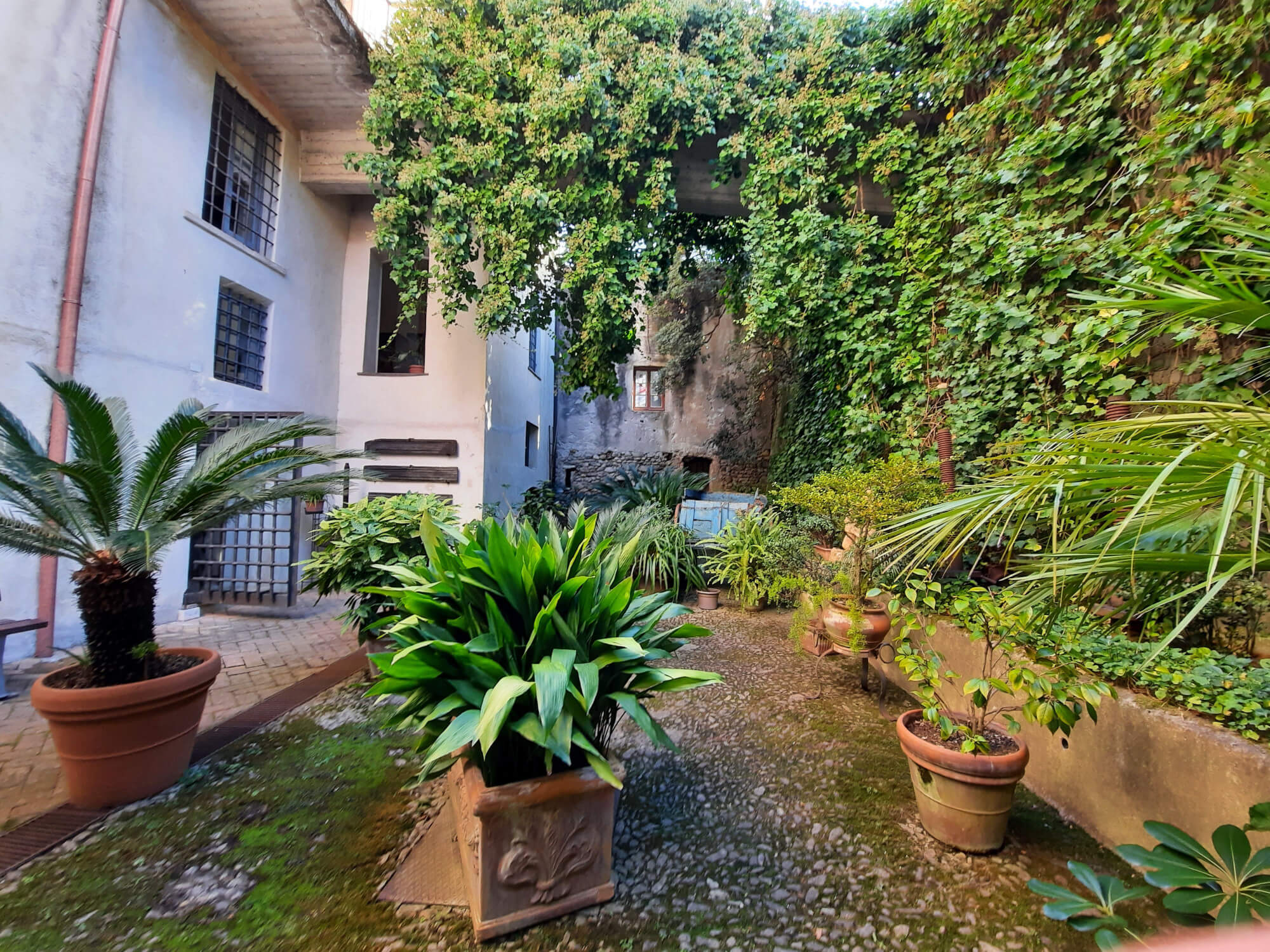 Immagine di una parte del giardino interno