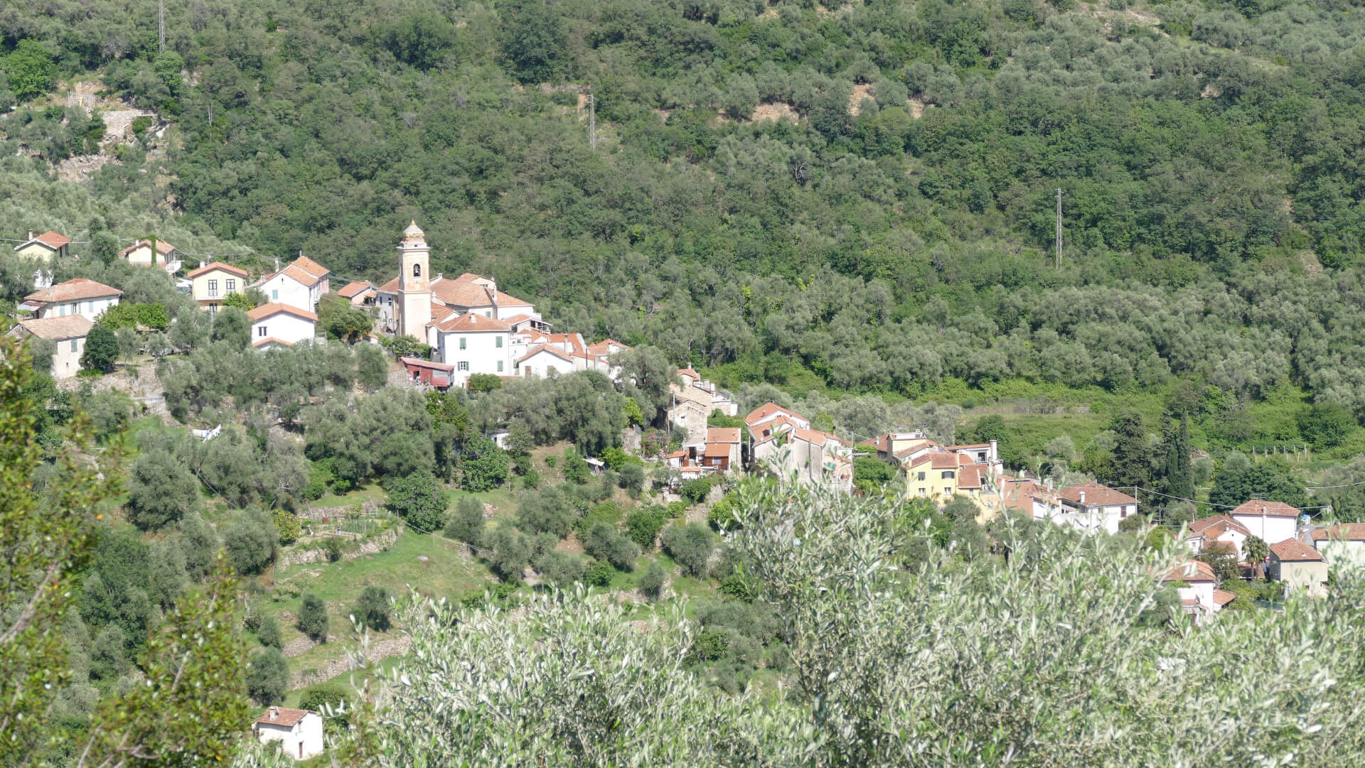 Panorama of Diano Roncagli
