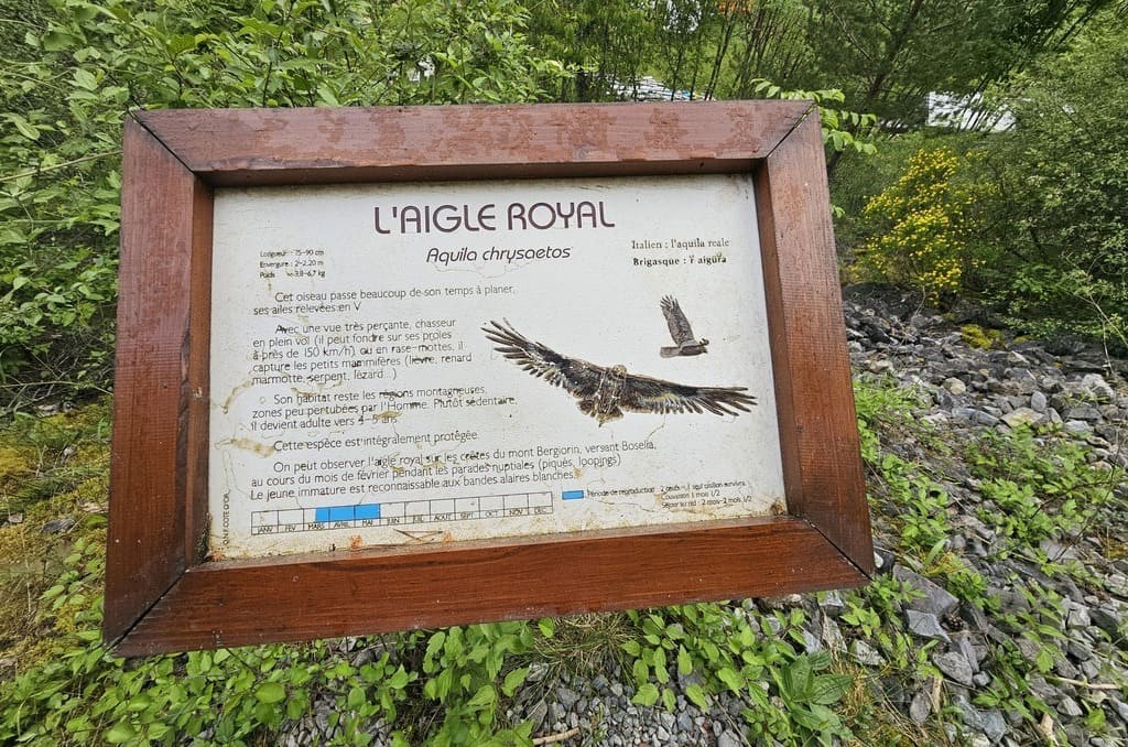 Sign dedicated to the golden eagle Sign dedicated to the golden eagle along the Interpretive Trail