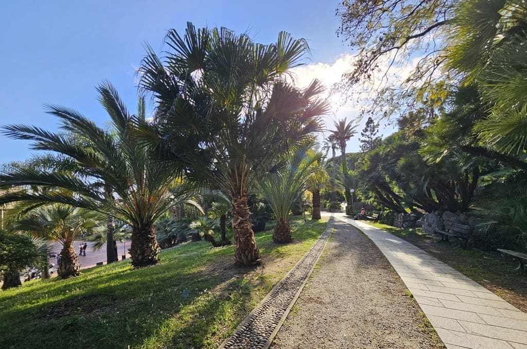 Avenue and palm trees in the park of Villa Ormond in Sanremo