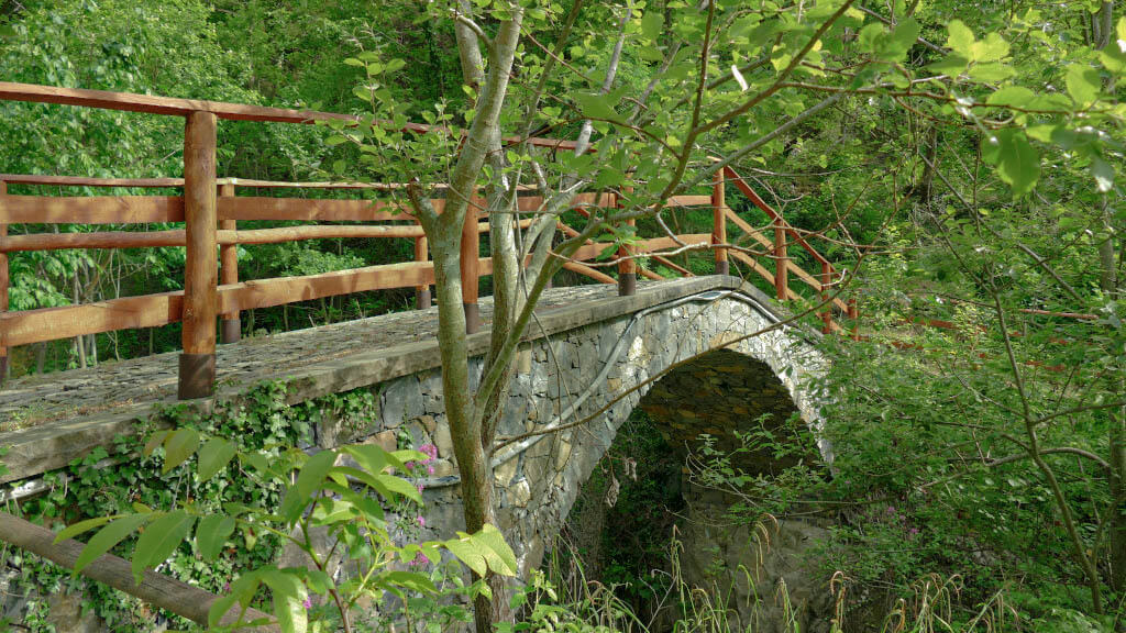 Bridge at Glori