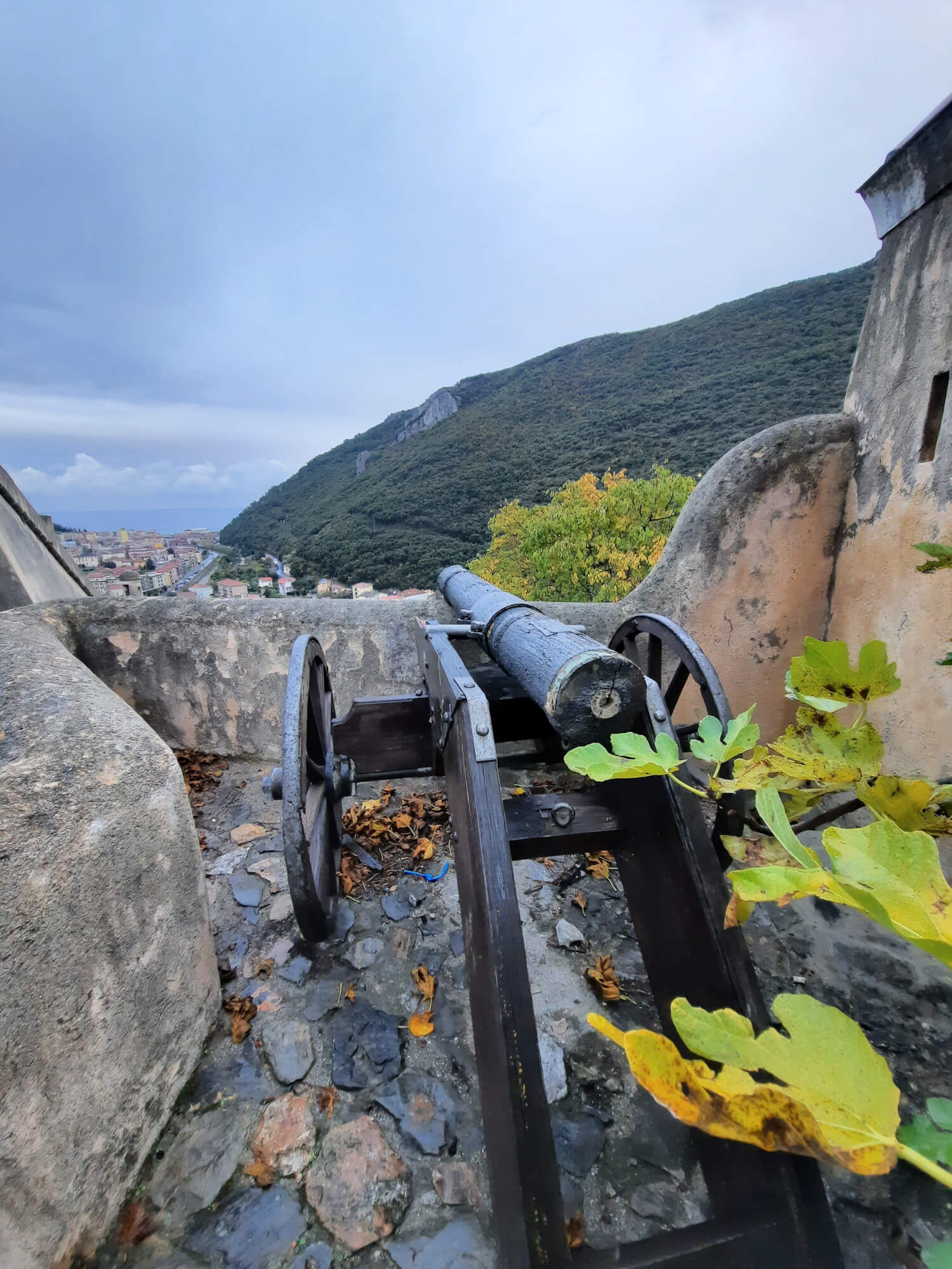The cannon of the Fort