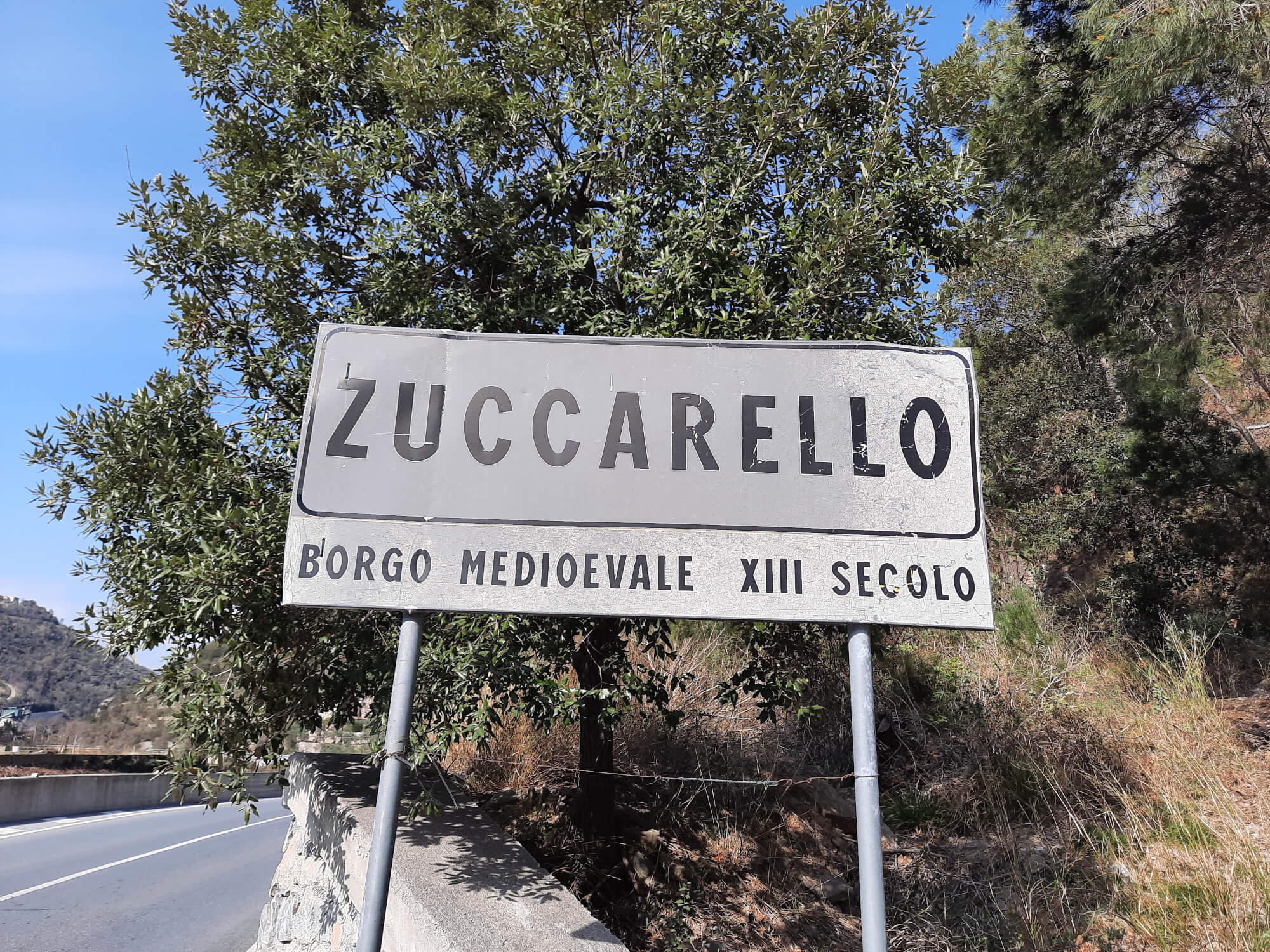 Sign of Zuccarello