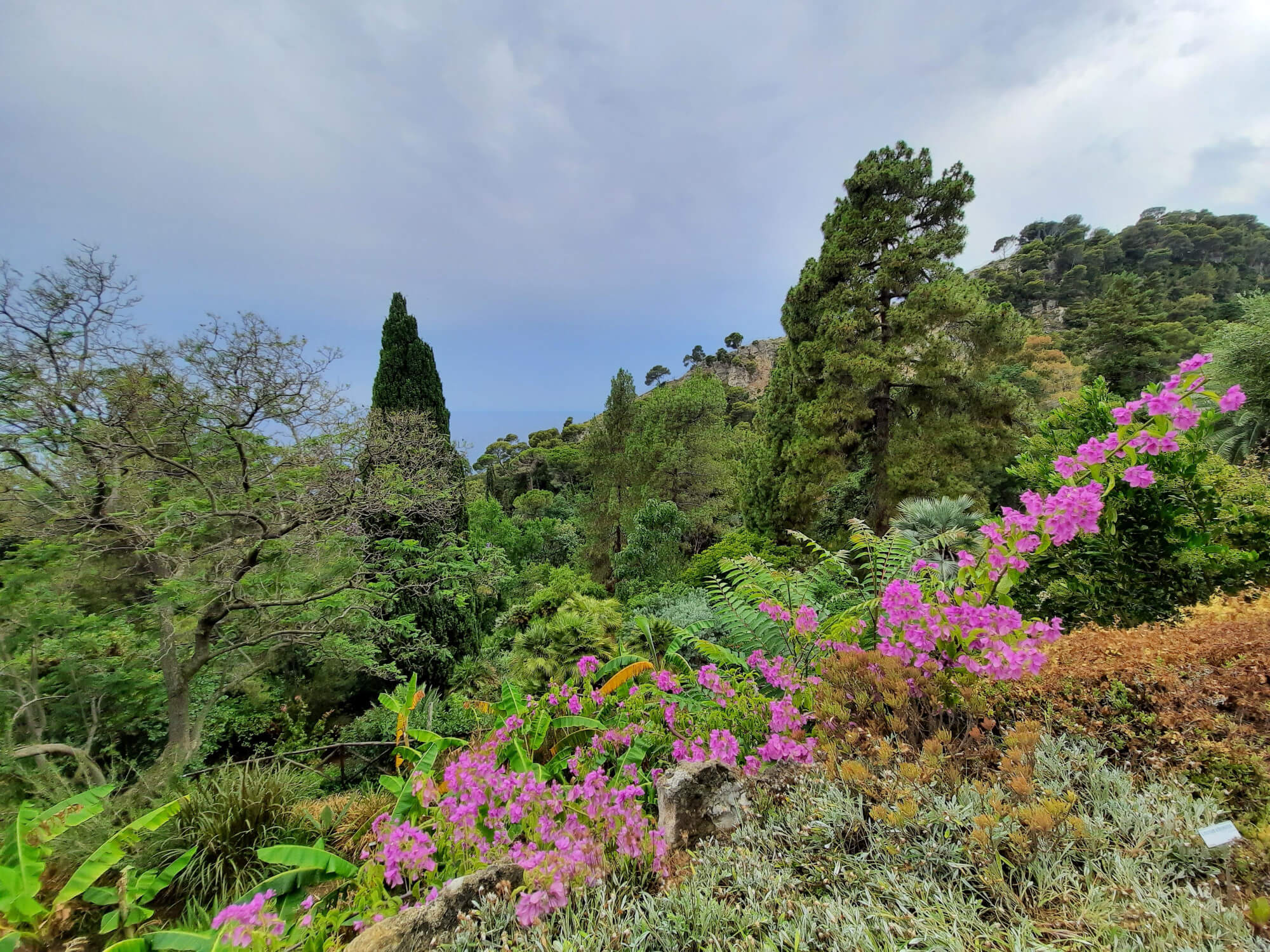 I Giardini botanici Hanbury di Ventimiglia